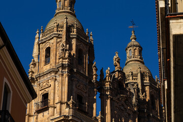 Salamanca Cathedral Details in Salamanca, Spain.