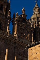 Salamanca Cathedral Details in Salamanca, Spain.