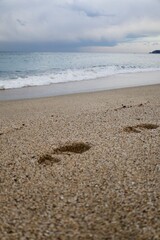 Footprints sandy beach. High quality photo