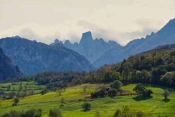 Fototapeta premium Naranjo de Bulnes, Pico Urriellu. Peaks of Europe. Asturias, Spain. Mountain adored by mountaineers. It has a height of 2,519 m and a vertical wall of 550 m.