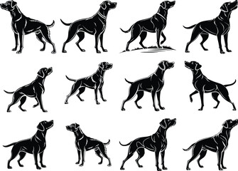 Standing Dog silhouette, Dog vector, Dog standing icon