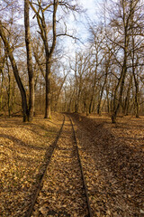 Naklejka premium Landscape with an old abandoned railway line in the forest