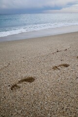 Footprints sandy beach. High quality photo