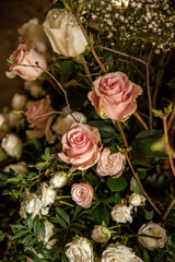 Soft pink roses with blurred background and green leaves