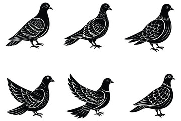 dove bird silhouette vector with white background
