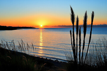 A Serene Sunset With A Cactus Silhouette In The Foreground