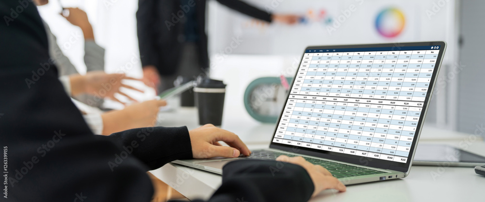 Poster accounting software on computer screen showing financial statement spreadsheets and account balance 