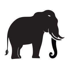 elephant isolated on white background