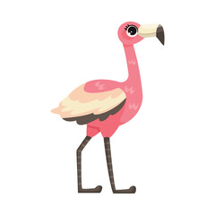Pink Flamingo with Long Neck and Leg as Tropical Animal and Wild African Fauna Vector Illustration