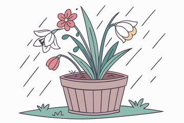 flowers in pots