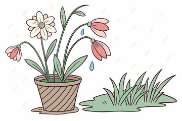 spring flowers in a pot