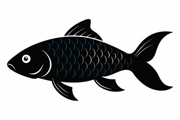 fish on a white background