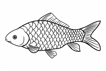 fish on a white background