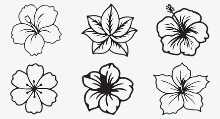 Hibiscus Flower Silhouette | Elegant Floral Outline for Art and Design