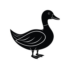 duck vector illustration