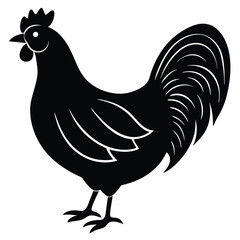 hen and rooster vector illustration
