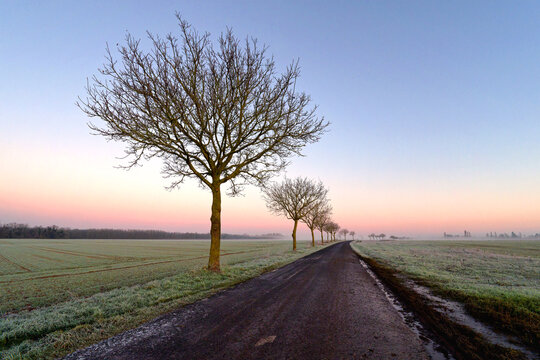 Country road to Arbonne in the French Gatinais Regional Nature Park