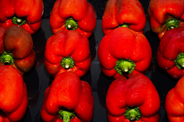 Pimientos rojos listos para asar.