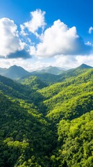 Fototapeta premium Lush green mountain range under blue sky