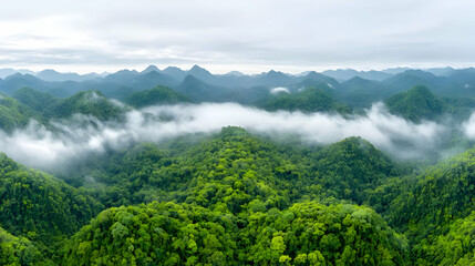 Misty mountain range, lush green forest, aerial view, travel background