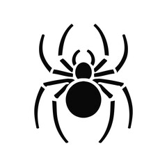 black spider isolated on white