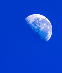 Fototapeta premium Half moon
