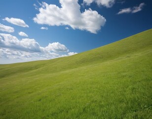 Fototapeta premium An Endless Expanse of Gently Sloping Green Fields Bathed in Sunlight, Blending Seamlessly into the Horizon Beneath a Clear Blue Sky with Wisps of White Clouds