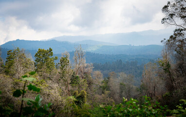 Beautiful Nilgiri Blue ridge mountains in the distance moody skies