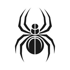 black spider isolated on white