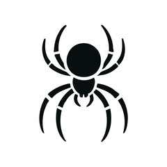 spider on a white background