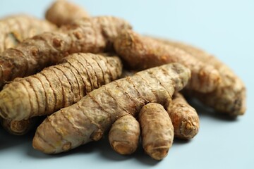 Pile of tumeric rhizomes on light blue background, closeup