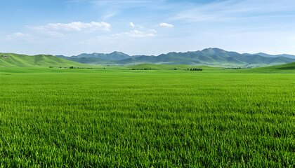 Obraz premium Green field with distant mountains, sky view for wallpaper, background. Generative AI