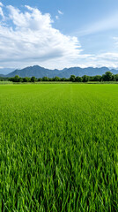 Fototapeta premium Lush green field view below blue sky and clouds, mountain backdrop, agriculture use. Generative AI