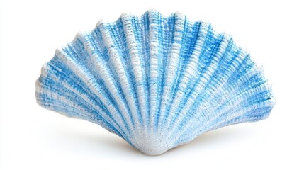 A blue and white shell rests elegantly on a pristine white surface, showcasing its intricate patterns and textures against the minimalist backdrop.
