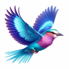 Obraz premium lilac breasted roller bird image on white background