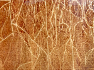 textura de piel quemada vieja plástica abstracta cuero composición fondo IMG_9957-as25