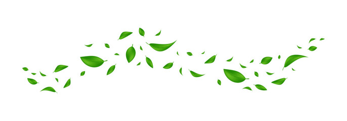 Green flying leaves. Leaf falling llustration . Wave foliage. Realistic leaves vector illustration