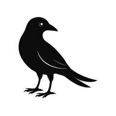 crow silhouette on a white background