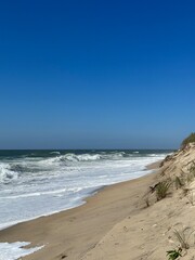 Cape Cod National Seashore on A Sunny Day 
