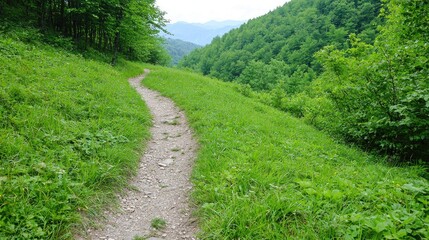 Obraz premium Winding path through lush green forest, mountain backdrop, scenic view, nature walk, exploration, tranquil landscape, photo opportunity