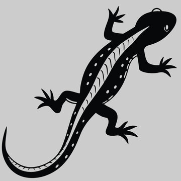 a salamander crawling silhouette vector design art and illustration 