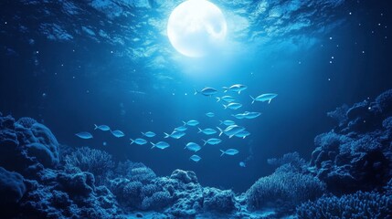 Fototapeta premium School of fish swim under the moonlight in the ocean