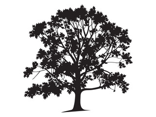 Fototapeta premium vector tree silhouette