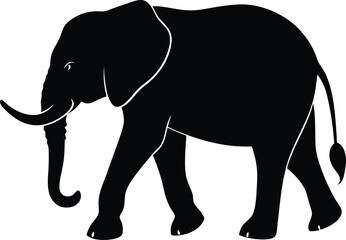 elephant isolated on white background