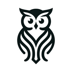 owl on white background