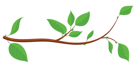 brown color tree branch with green leaves vector illustration.eps