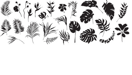 Vector tropical leaves silhouette set for graphic design, Tropical forest leaf plants monochrome foliage, Leaf pattern or wedding spa element, Different exotic leaves, botanical shapes forms sticker © Yevheniia Poli
