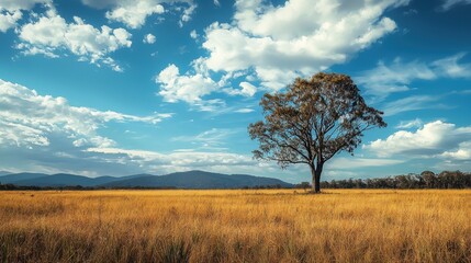 Lone Tree in Golden Grassland Under Bright Blue Sky with Clouds