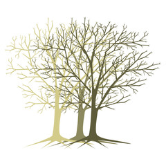 Obraz premium Tree without leaves cartoon vector illustration