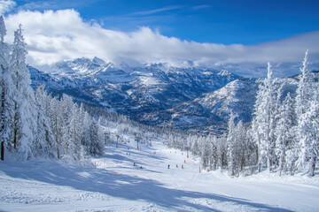 Adrenaline Rush, Snowboarding in Action